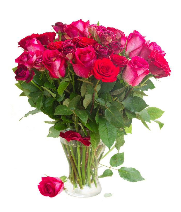 Bouquet of Red Roses in a Vase