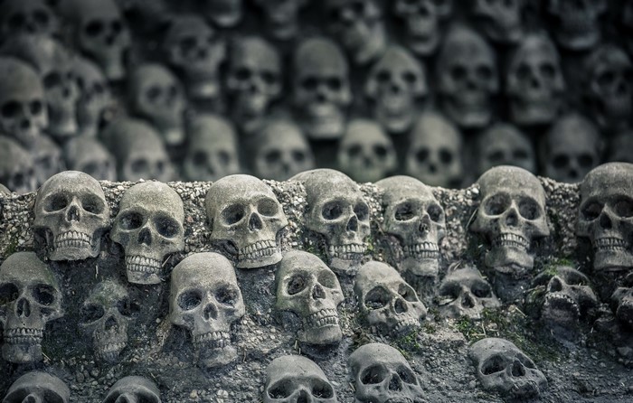 Many skulls arranged on a rocky surface