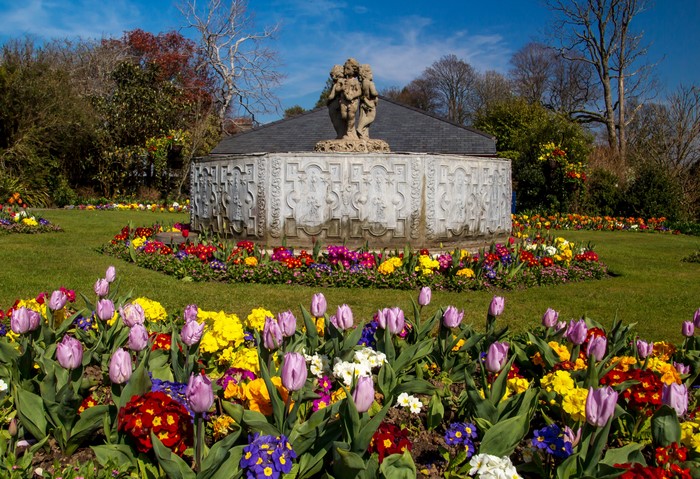 Swansea Botanic Gardens fountain with tulips and primulas