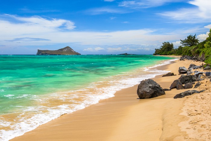 4K Serene Hawaiian Tropical Beach with Turquoise Waves