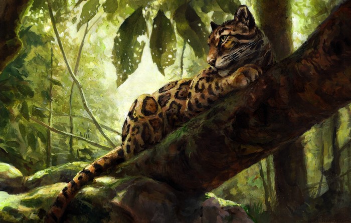 Clouded leopard resting on a tree branch in a forest
