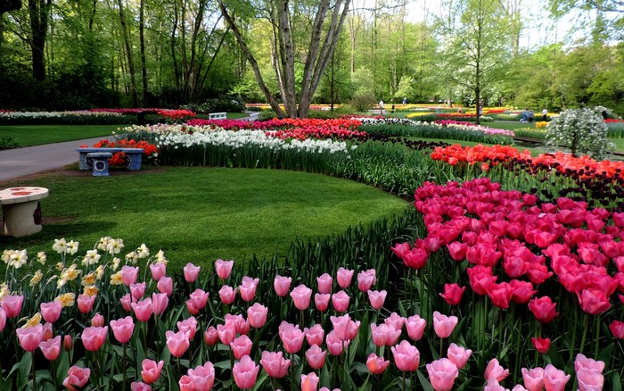 Keukenhof Gardens with Tulips and Daffodils in the Netherlands