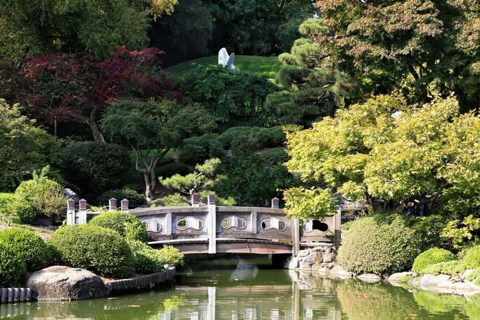 Japanese Garden Bridge over a Pond with Trees and Shrubs