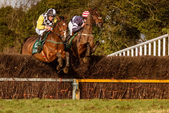 Two horses and jockeys jumping over a hurdle