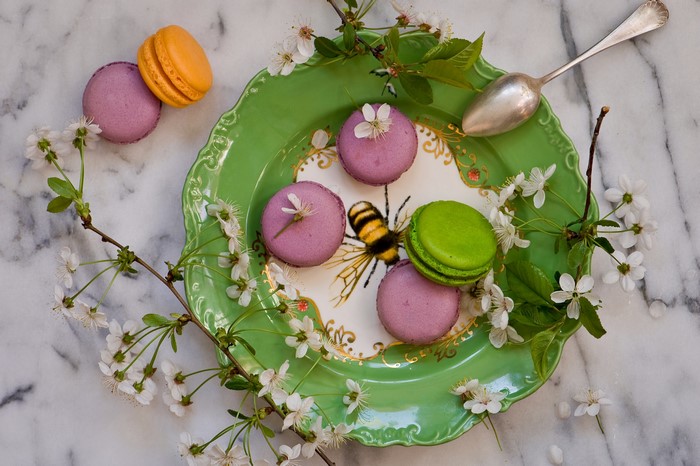 Macarons on a plate with a bee design