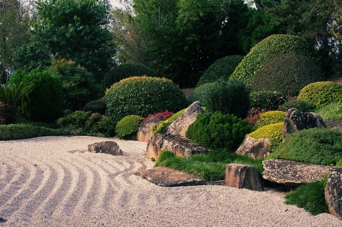 Japanese Garden with Raked Sand and Sculpted Shrubs
