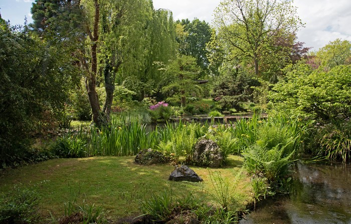 Park with a pond and trees