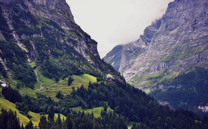 Mountain valley with a building and trees