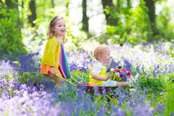 Two children in a field of bluebells