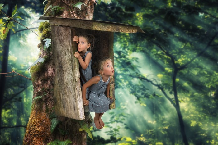 Two little girls in a treehouse in the forest