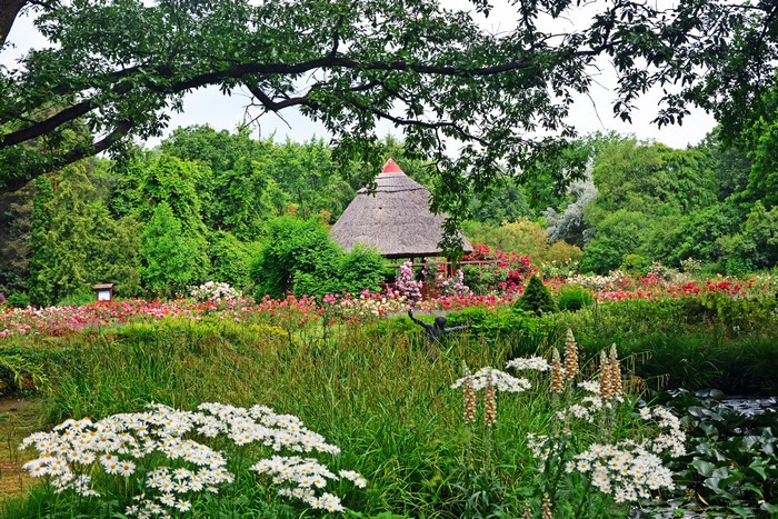 Botanical garden with roses and thatched hut in Szeged, Hungary