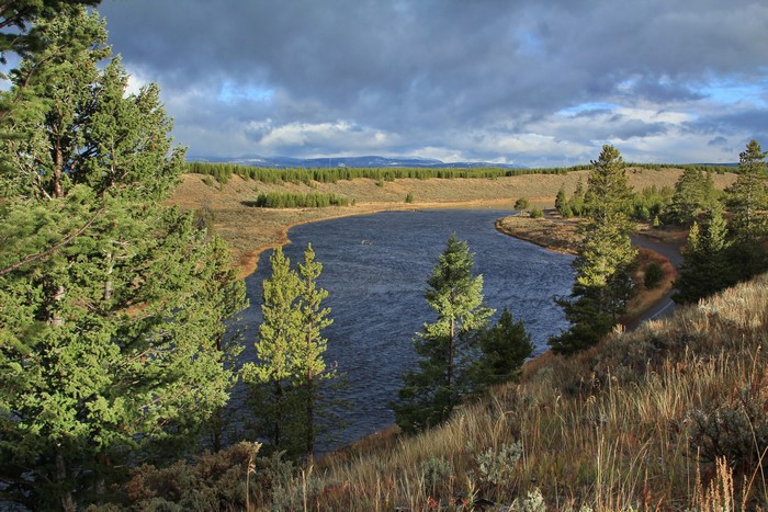 Madison River in Yellowstone National Park, USA