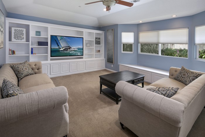 Living room with sofa and entertainment center