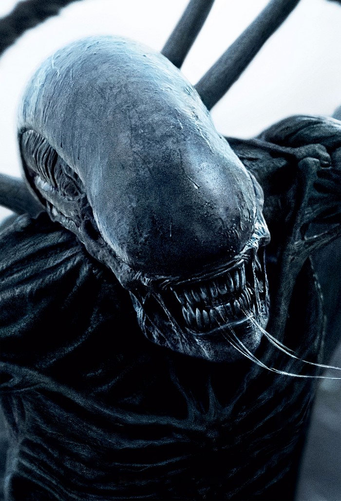 Xenomorph from Alien: Covenant