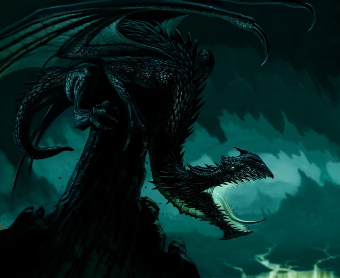 A black dragon roars from a rocky perch