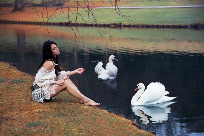 Woman sitting by pond with swans