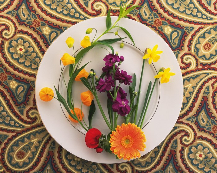 Plate with Daffodils, Gerberas, Matthiola, and other flowers
