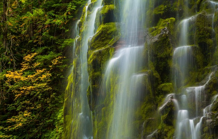 Mossy Waterfall in Oregon Forest