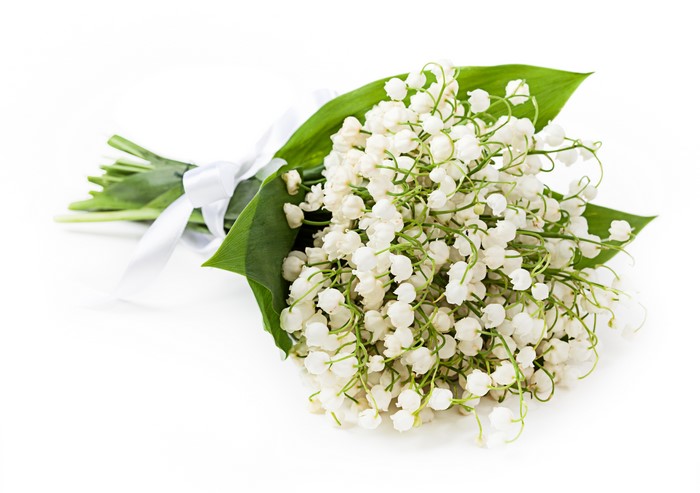 Bouquet of Lilies of the Valley with White Ribbon