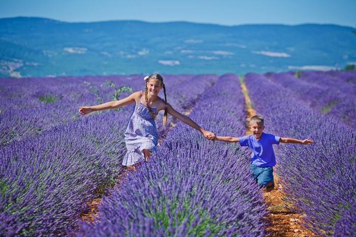 Two children running through a lavender field