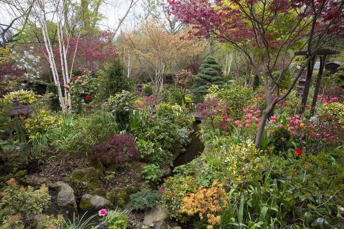 Walsall Garden in England with Spring Flowers and Trees
