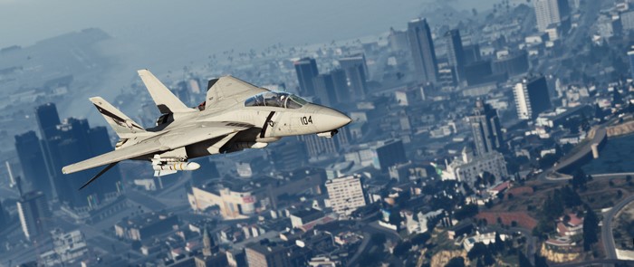4K Grumman F-14D Super Tomcat Fighter Jet in Flight GTA 5