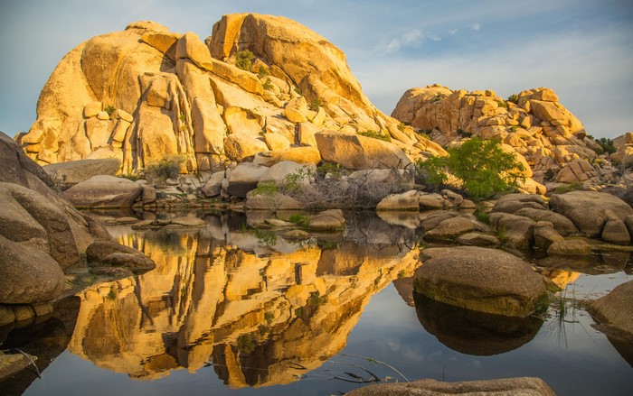 Barker Dam Joshua Tree National Park Lake Reflection