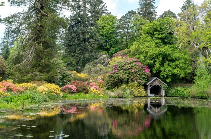 Boathouse on a lake in Scotland with rhododendrons