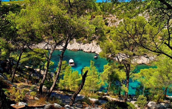 Calanque Port Miou, Provence, France: Bay with Boats and Trees