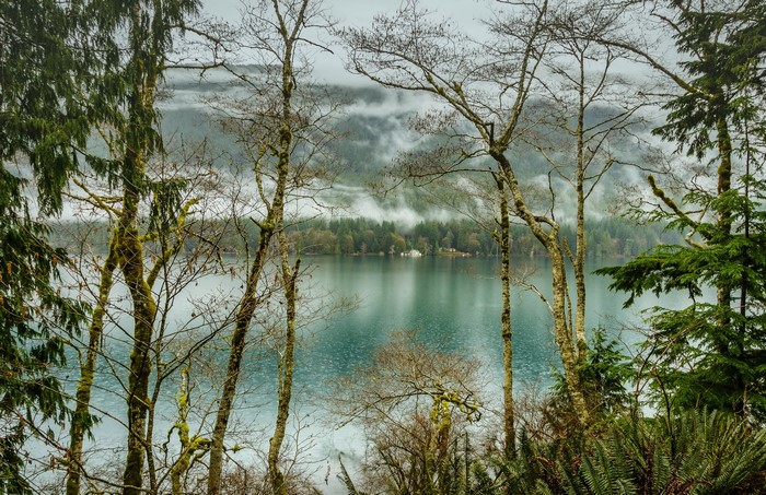 Lake Crescent Olympic National Park with Foggy Mountains