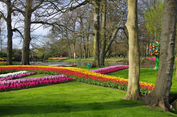 Keukenhof Gardens with Tulips and Hyacinths, Netherlands