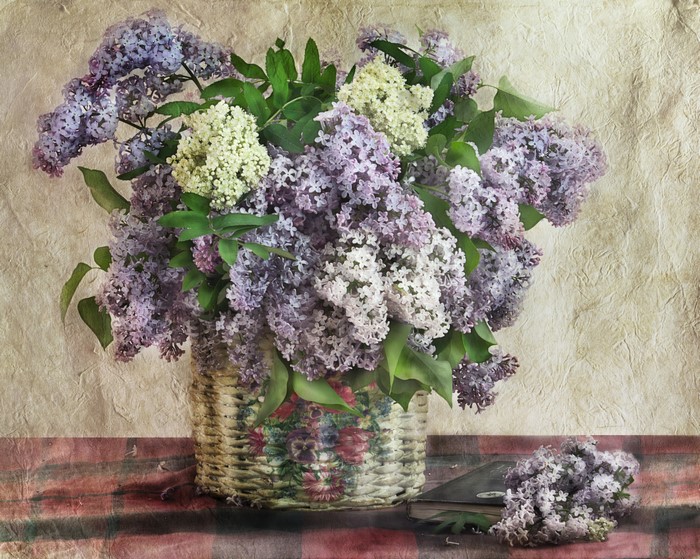 Still-life of lilacs in a wicker basket