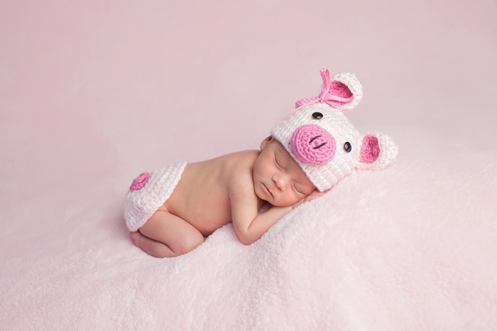 Newborn baby sleeping in pig costume