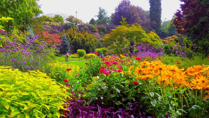 Queen Elizabeth Park Gardens in Vancouver, Canada