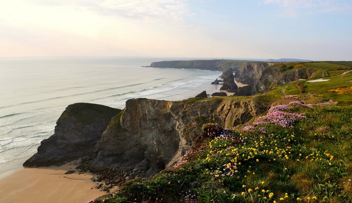 Coastal cliffs with wildflowers and the sea in England