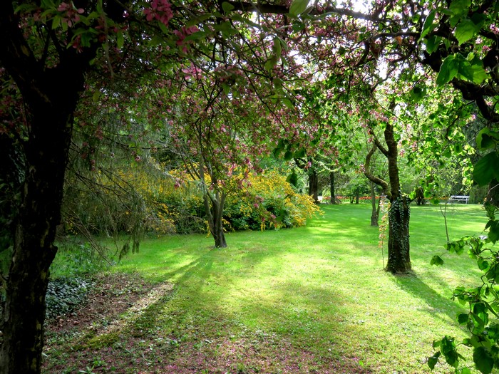 Flowering trees in a park in Mozirski gaj, Slovenia