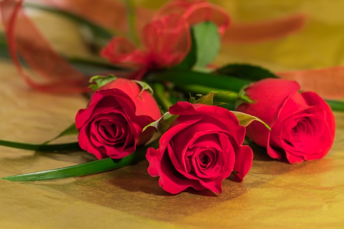 Three red roses with ribbon