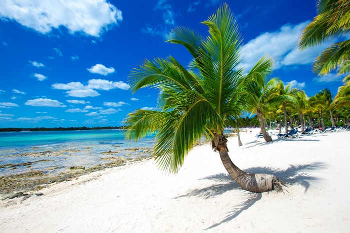 Tropical beach with palm trees and ocean