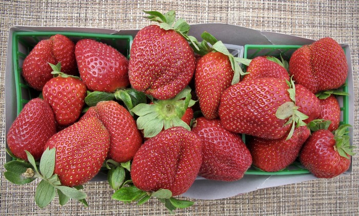 Fresh strawberries in green containers