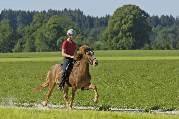 Girl riding a brown horse in a field