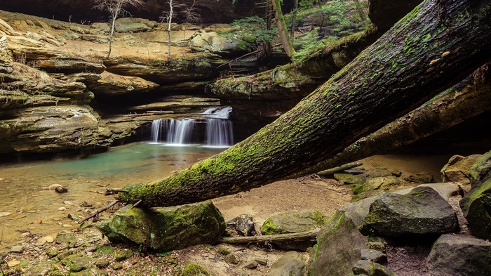 Waterfall in a forest with a fallen tree