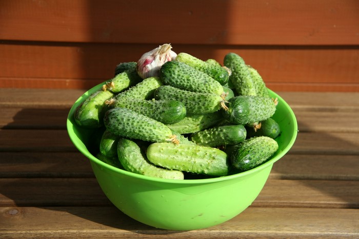 Bowl of Cucumbers and Garlic
