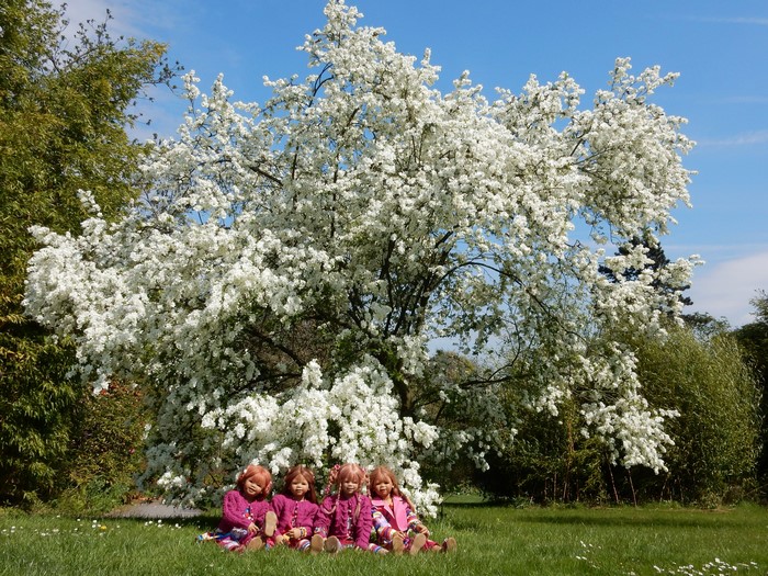 Four dolls sitting under a flowering tree in Grugapark Essen