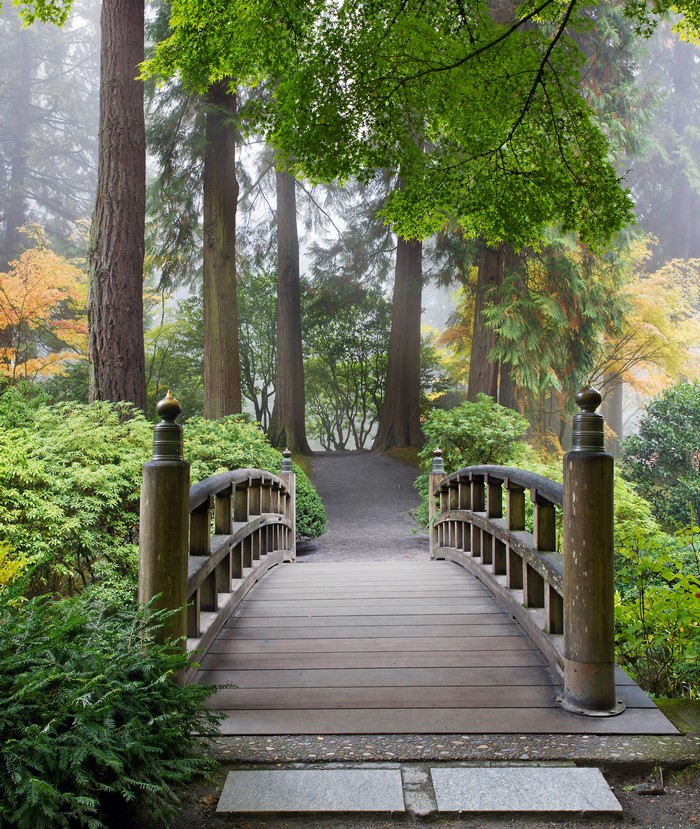 Wooden bridge in a misty forest garden