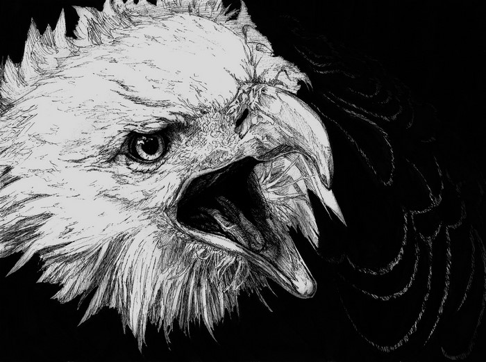 Black and white painting of an eagle's head