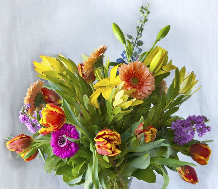 Colorful bouquet of gerberas, tulips, and lilies