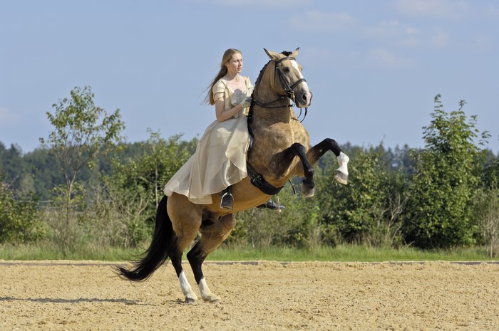 Woman in a dress riding a rearing horse