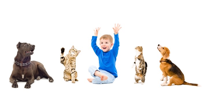 Boy with Dogs and Cats on White Background