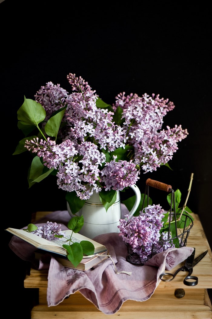 Still-life with Lilacs and Books