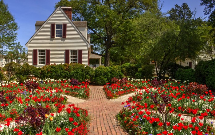 House and garden with red tulips in Williamsburg, Virginia